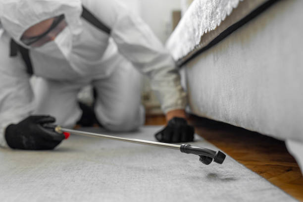 Professional Cockroach Control technician working in Crowley, TX